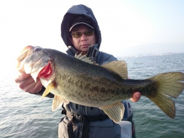 truth hiramura ブログ写真 2016/03/02