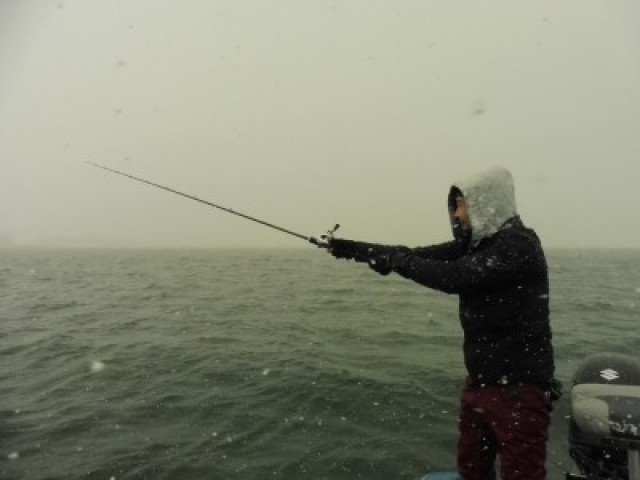 truth hiramura ブログ写真 2016/03/02