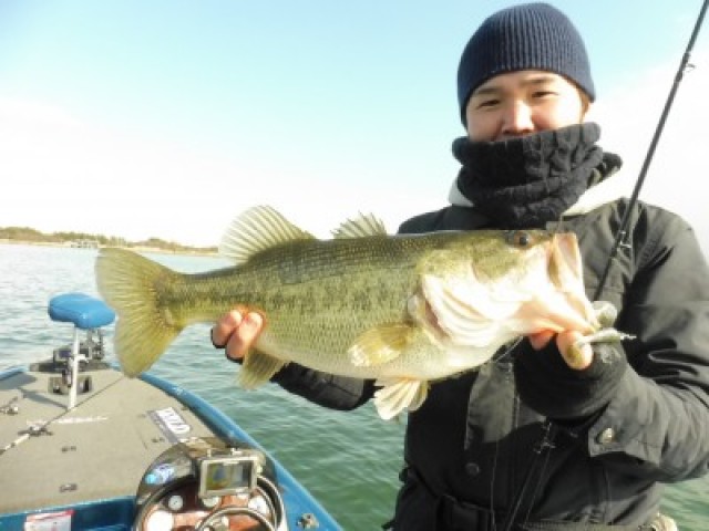 truth hiramura ブログ写真 2016/03/02