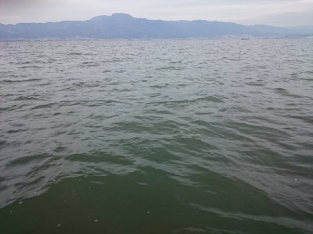 truth hiramura ブログ写真 2016/03/02