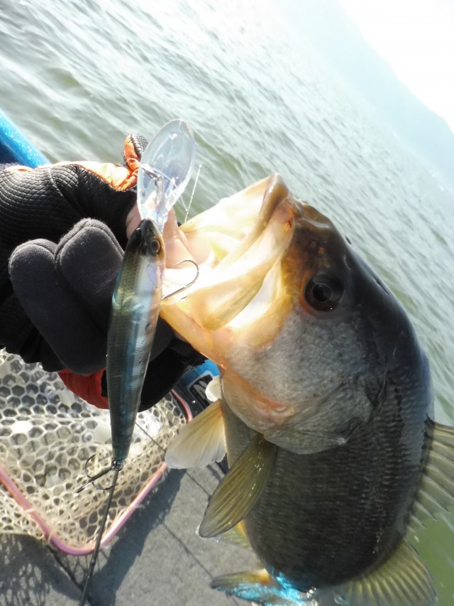 truth hiramura ブログ写真 2016/03/04