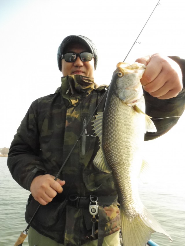 truth hiramura ブログ写真 2016/03/05