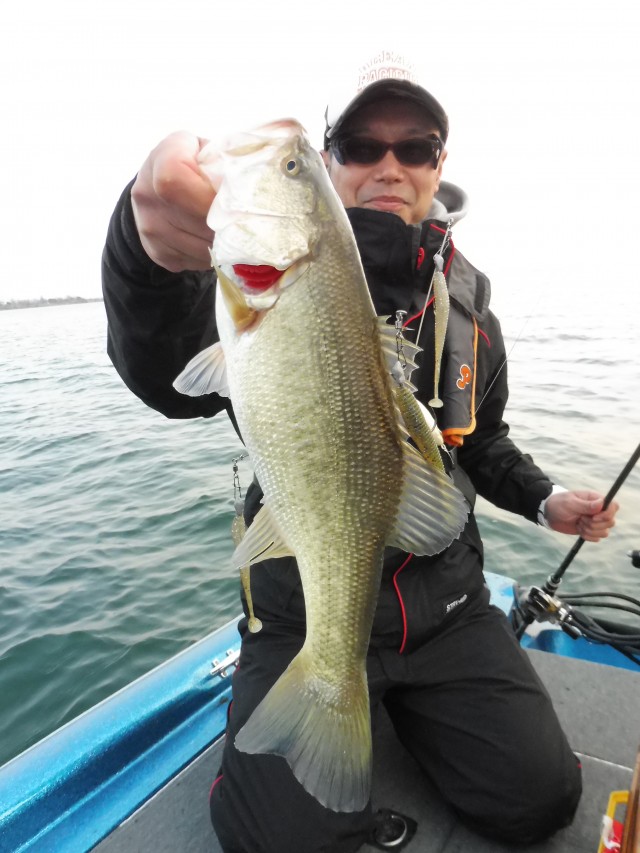 truth hiramura ブログ写真 2016/03/05