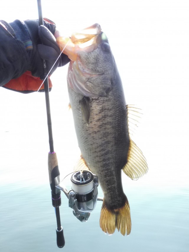 truth hiramura ブログ写真 2016/03/05