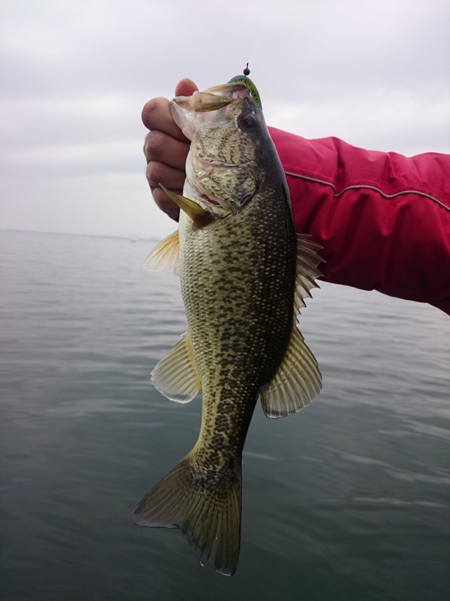 truth hiramura ブログ写真 2016/03/09