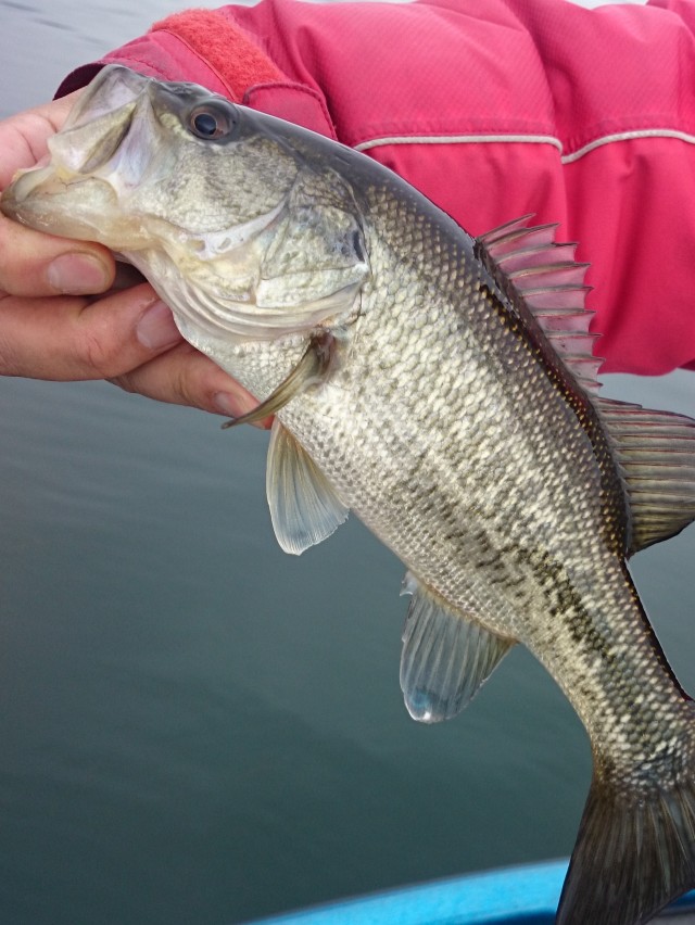 truth hiramura ブログ写真 2016/03/09