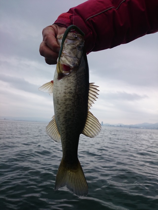 truth hiramura ブログ写真 2016/03/09