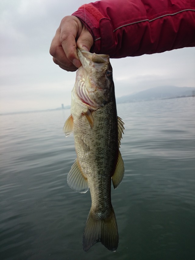 truth hiramura ブログ写真 2016/03/09