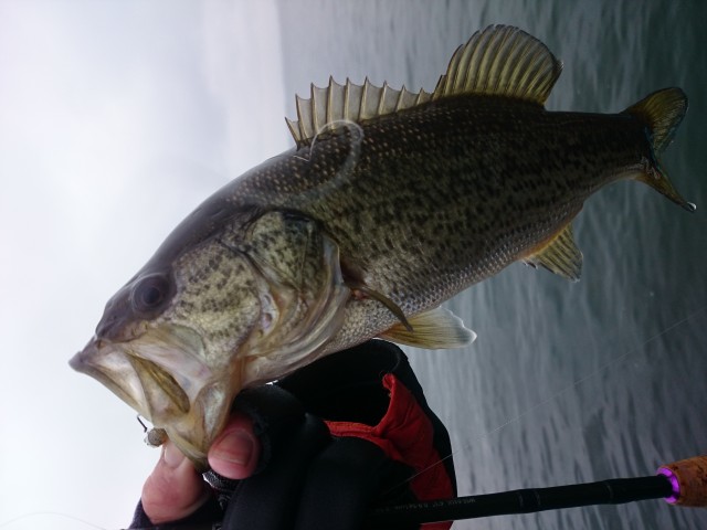 truth hiramura ブログ写真 2016/03/09