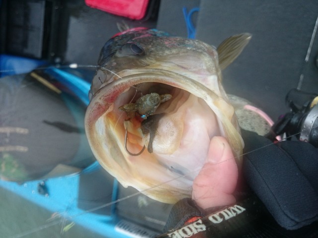 truth hiramura ブログ写真 2016/03/09