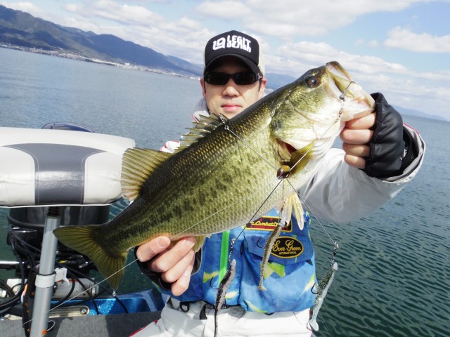 truth hiramura ブログ写真 2016/03/11