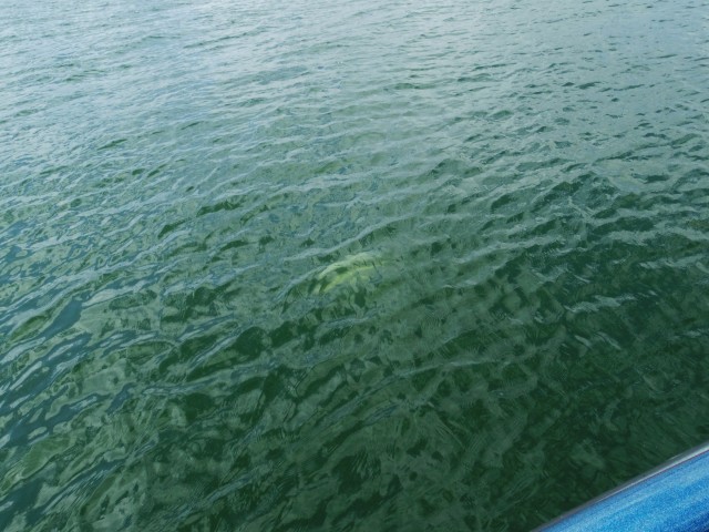 truth hiramura ブログ写真 2016/03/11