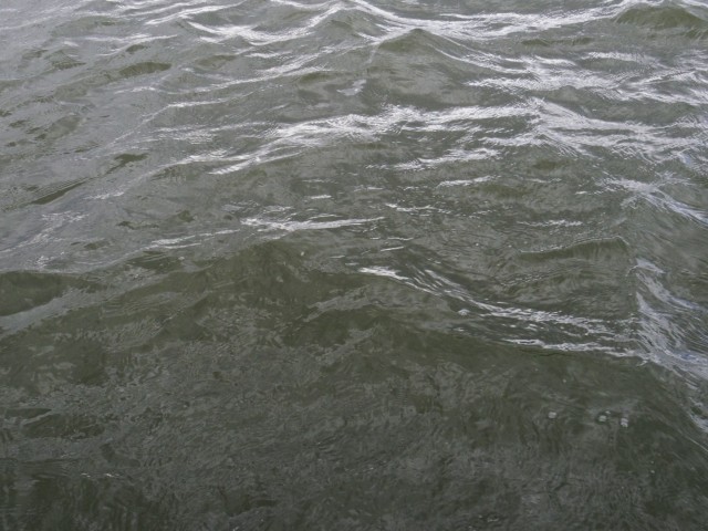 truth hiramura ブログ写真 2016/03/13