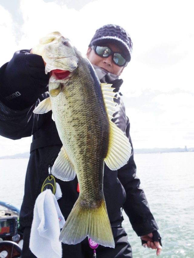 truth hiramura ブログ写真 2016/03/13