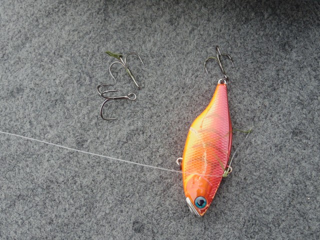 truth hiramura ブログ写真 2016/03/17