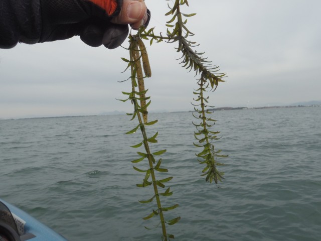 truth hiramura ブログ写真 2016/03/17