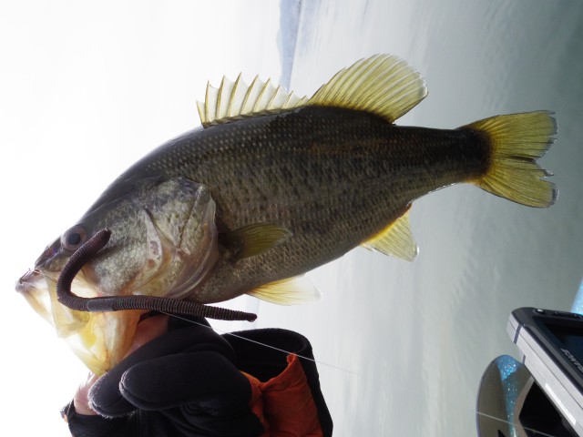 truth hiramura ブログ写真 2016/03/17