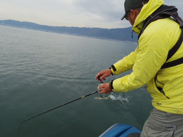 truth hiramura ブログ写真 2016/03/18