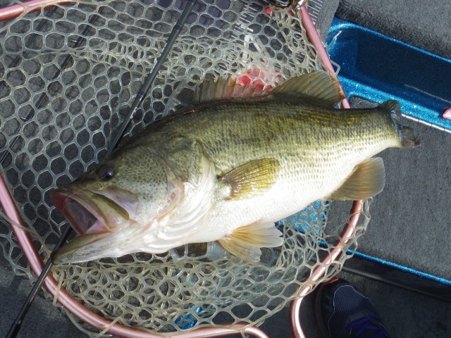 truth hiramura ブログ写真 2016/03/18