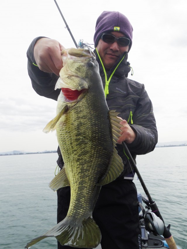 truth hiramura ブログ写真 2016/03/18