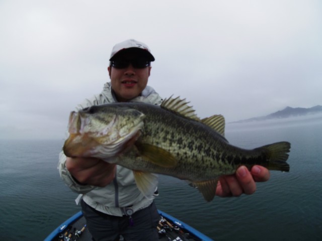 truth hiramura ブログ写真 2016/03/19