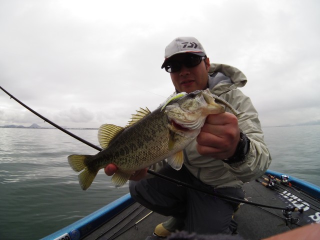 truth hiramura ブログ写真 2016/03/19