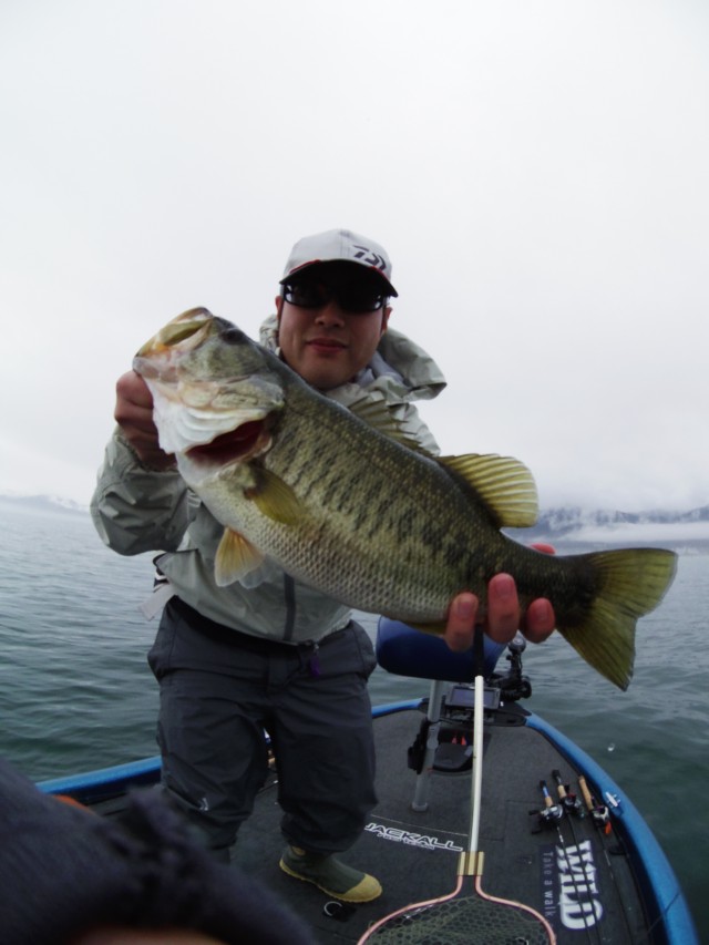 truth hiramura ブログ写真 2016/03/19