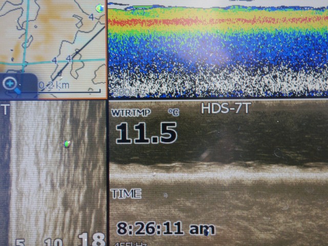 truth hiramura ブログ写真 2016/03/22