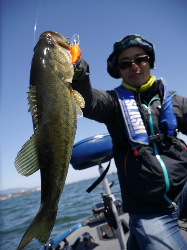 truth hiramura ブログ写真 2016/03/22