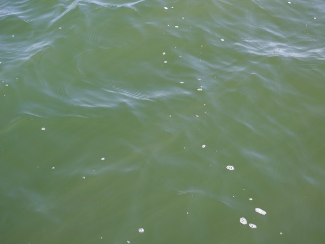 truth hiramura ブログ写真 2016/03/22