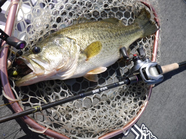 truth hiramura ブログ写真 2016/03/22