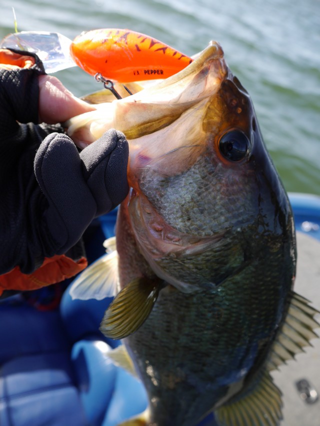 truth hiramura ブログ写真 2016/03/22