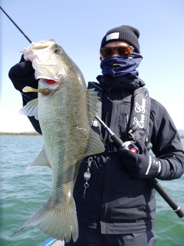 truth hiramura ブログ写真 2016/03/22