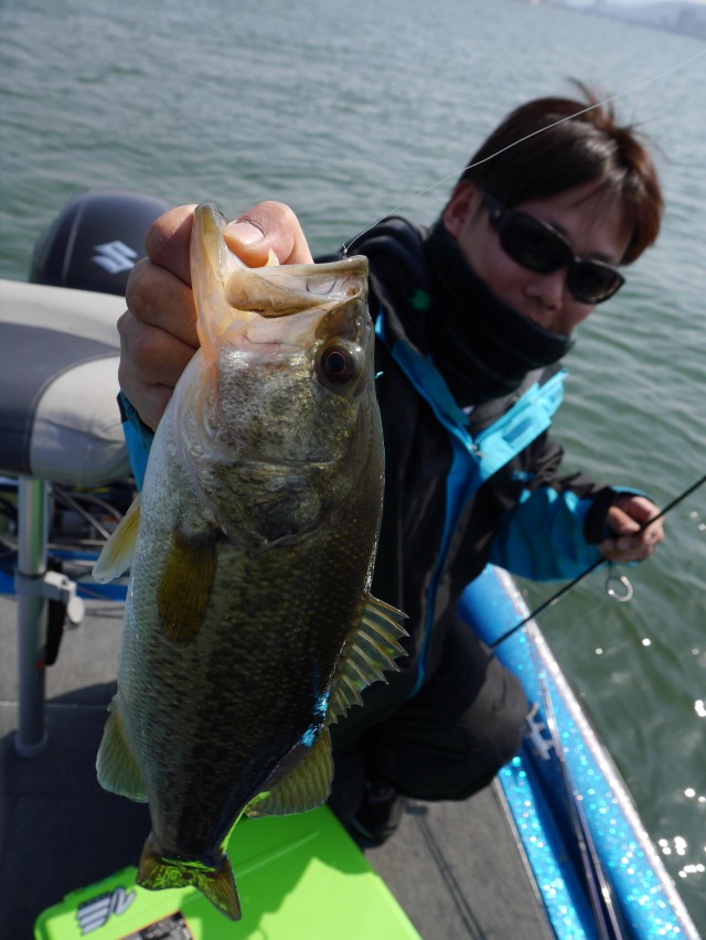 truth hiramura ブログ写真 2016/03/24