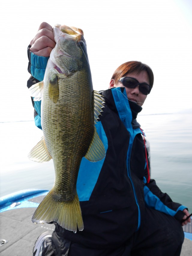 truth hiramura ブログ写真 2016/03/24