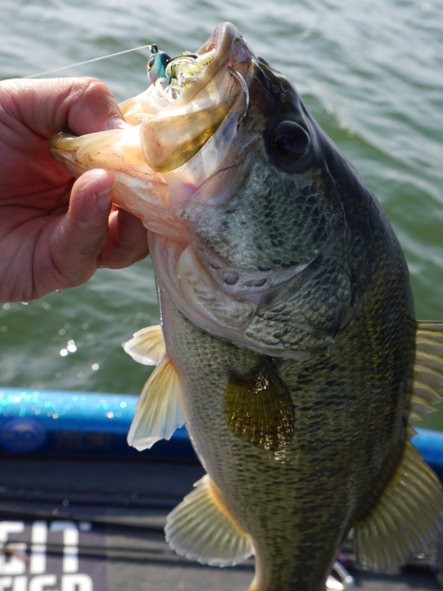 truth hiramura ブログ写真 2016/03/24