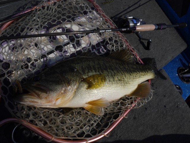 truth hiramura ブログ写真 2016/03/24