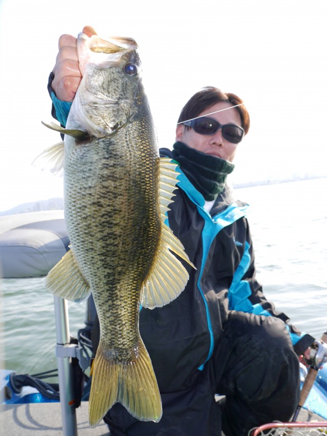 truth hiramura ブログ写真 2016/03/24