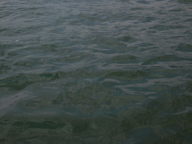 truth hiramura ブログ写真 2016/03/24