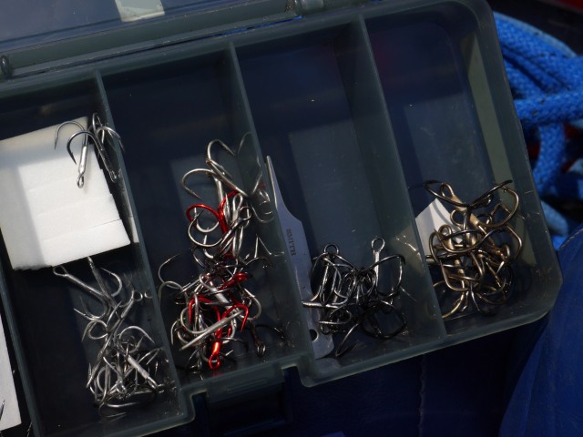 truth hiramura ブログ写真 2016/03/24