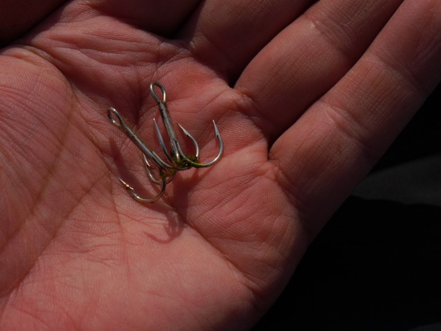 truth hiramura ブログ写真 2016/03/24