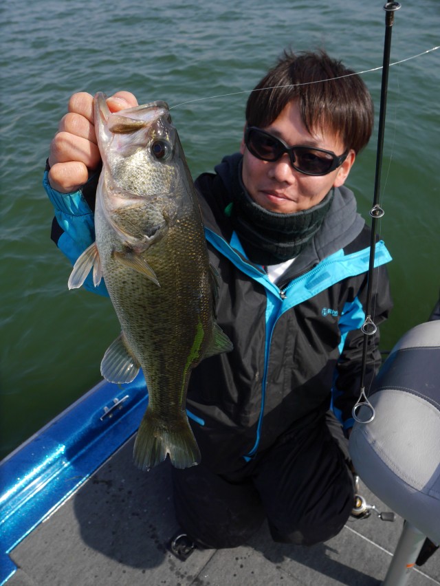 truth hiramura ブログ写真 2016/03/24