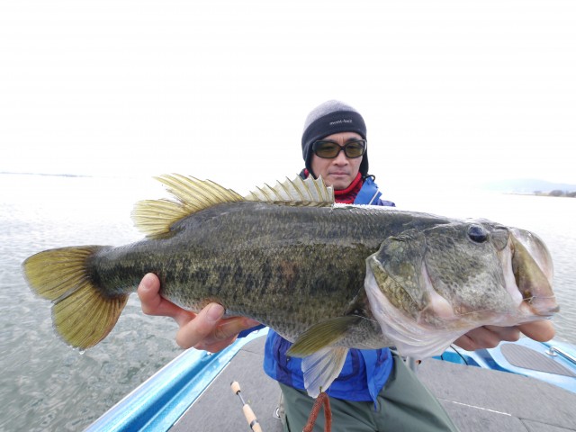 truth hiramura ブログ写真 2016/03/24