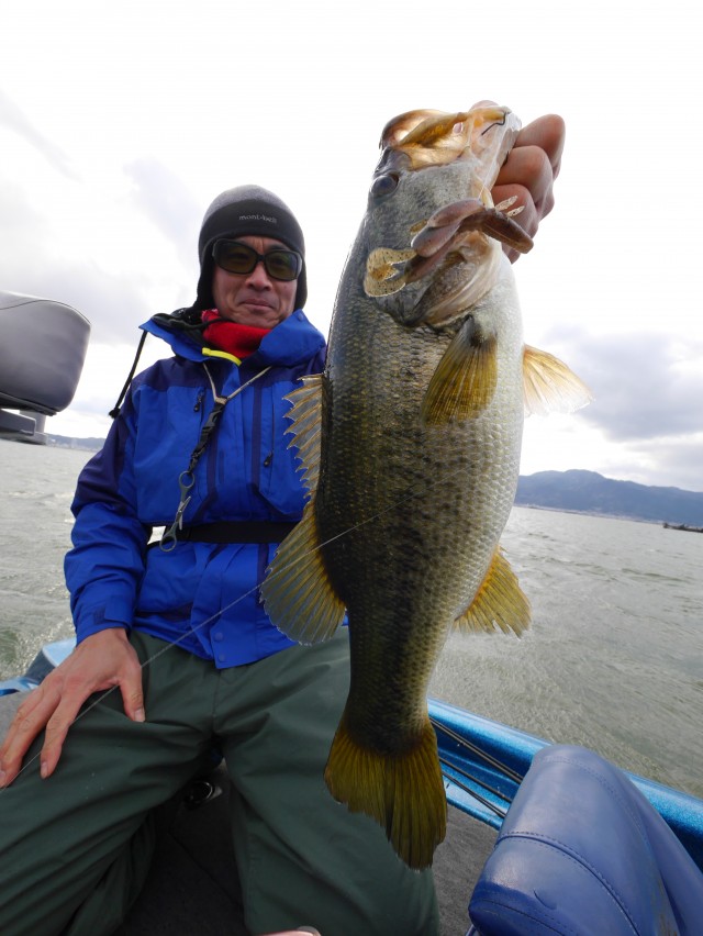 truth hiramura ブログ写真 2016/03/24