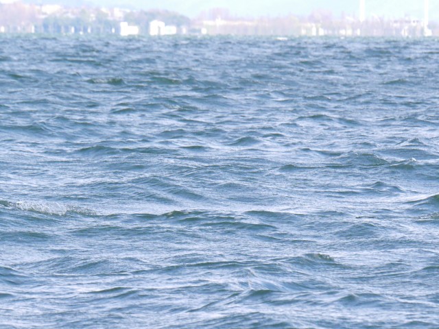 truth hiramura ブログ写真 2016/03/24