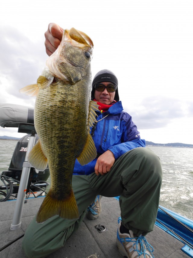 truth hiramura ブログ写真 2016/03/24