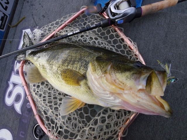 truth hiramura ブログ写真 2016/03/24