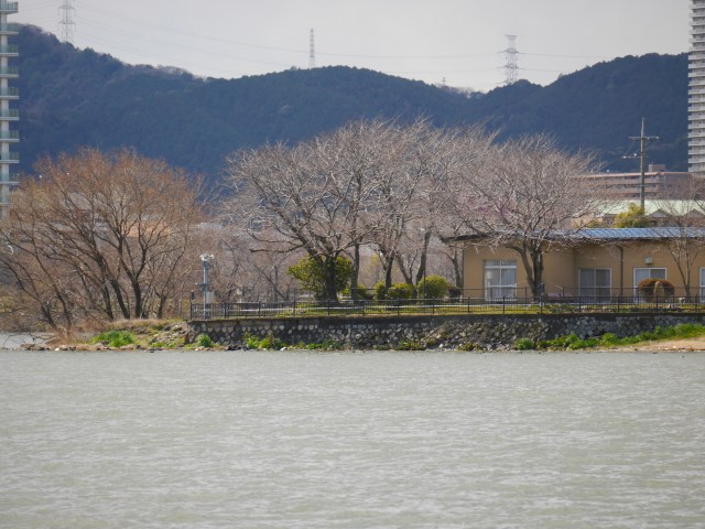 truth hiramura ブログ写真 2016/03/26