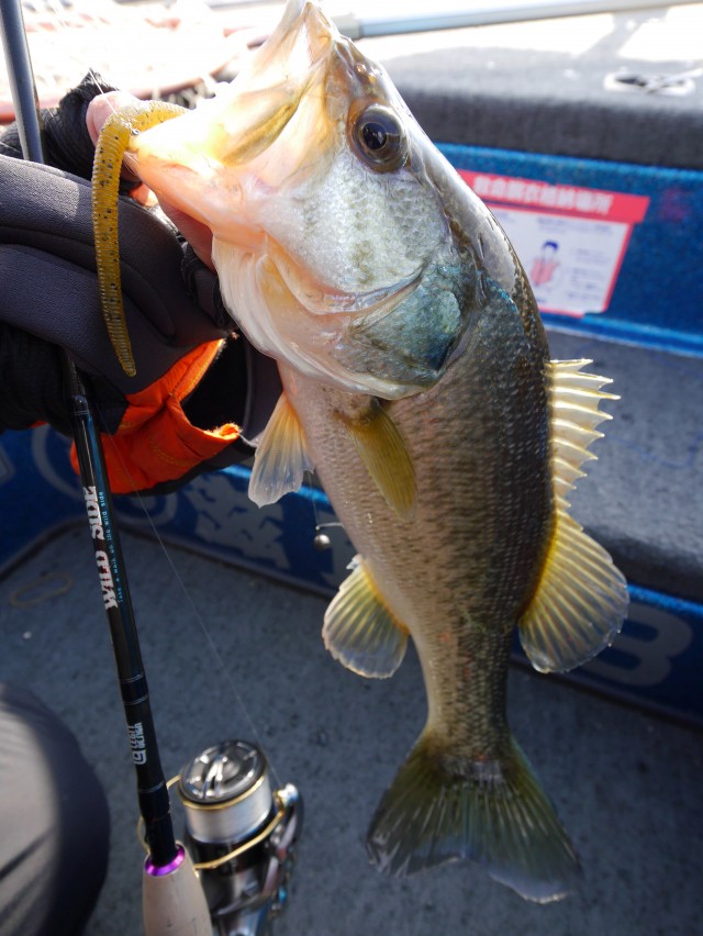 truth hiramura ブログ写真 2016/03/28