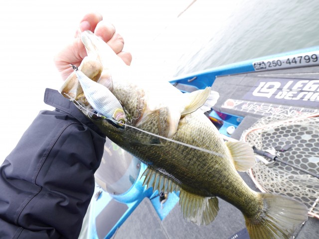 truth hiramura ブログ写真 2016/04/04